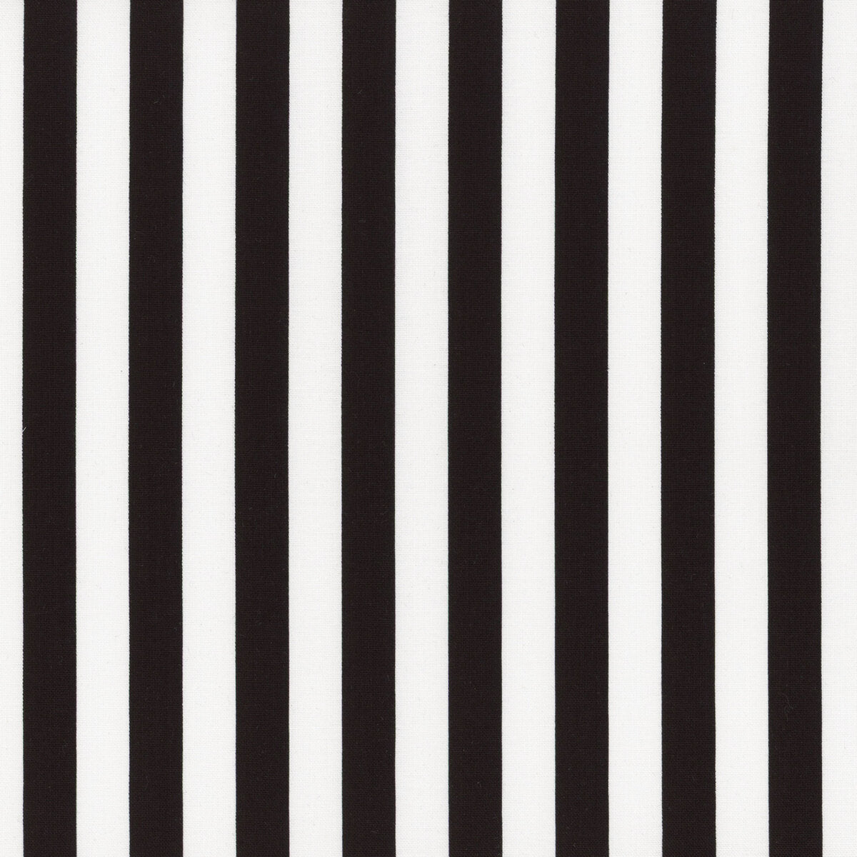 1/2" Stripes Black Riley Blake Designs Cotton Fabric RB-C530-110 Black