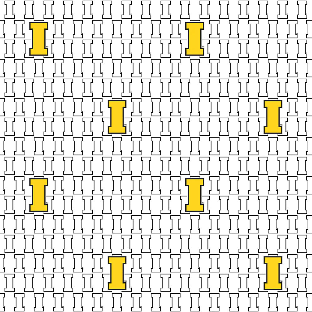 Iowa Hawkeyes NCAA College White Block Letter Sykel Cotton Fabric