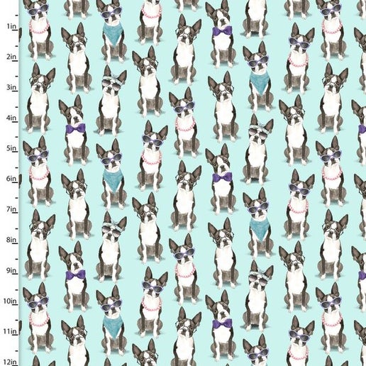 A Dog's Life Dogs Glasses Turquoise 3 Wishes Cotton Fabric