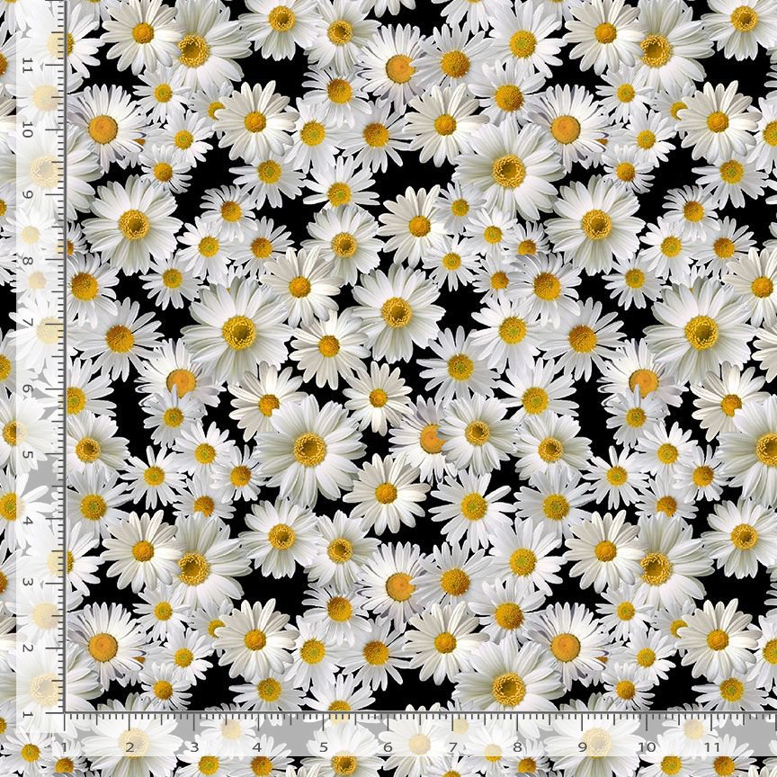 Advice From A Sunflower Blooming Packed Daisies Black Timeless Treasures Cotton Fabric TT-FLEUR-CD2926-BLACK
