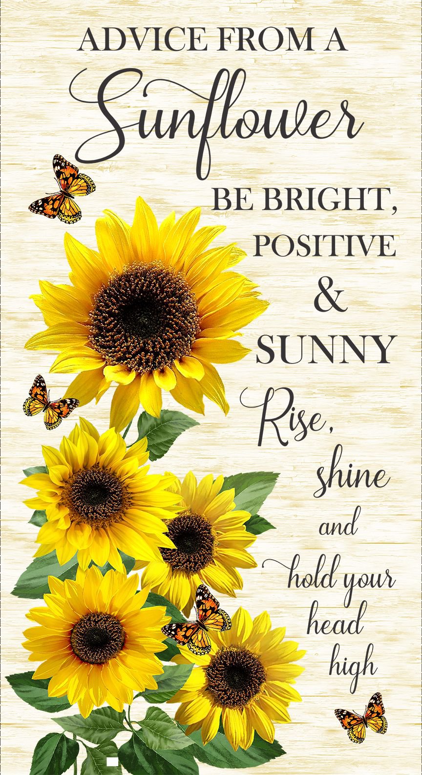 Advice From A Sunflower Panel 24" Cream Timeless Treasures Cotton Fabric TT-PANEL-CD2921-CREAM