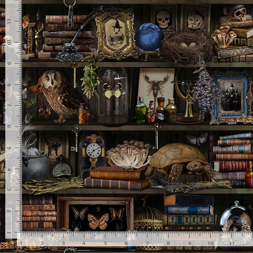 Apothecary Witch Book Shelf Repeat Brown Timeless Treasures Cotton Fabric TT-LIBRARY-CD2877-BROWN