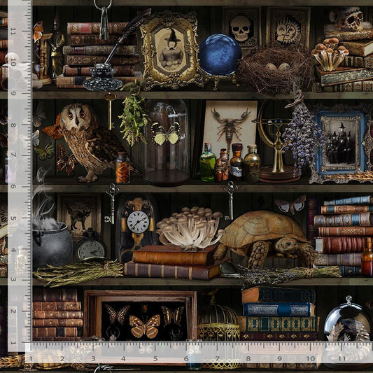Apothecary Witch Book Shelf Repeat Brown Timeless Treasures Cotton Fabric TT-LIBRARY-CD2877-BROWN