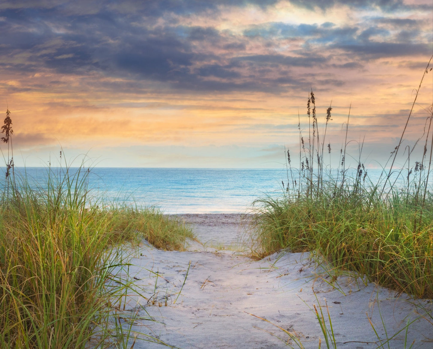 Aqua Seas at the Dunes Beach Panel 36" David Textiles Coton Fabric DT-AL-3848-9C-1