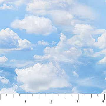 Atlantic Coast Clouds Light Blue Deborah Edwards Northcott Cotton Fabric NC-28014-42