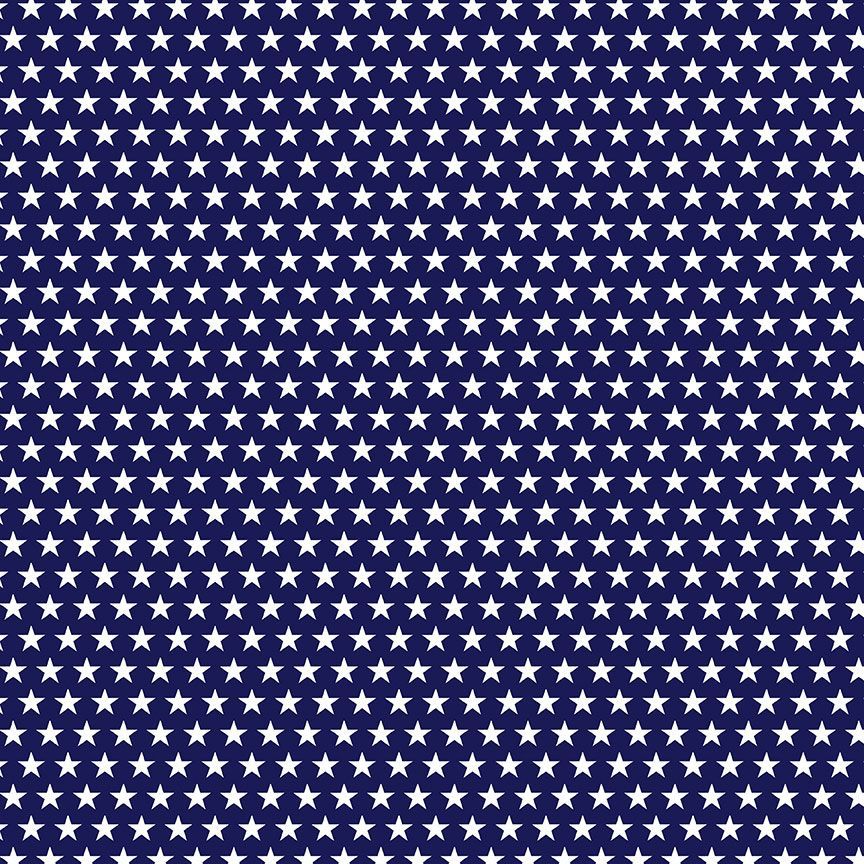 BBQ Season USA Stars Navy Gail Cadden Timeless Treasures Cotton fabric TT-GAIL-CD2000