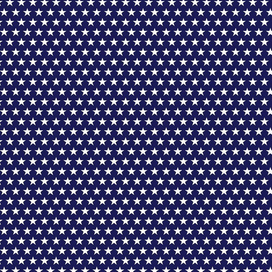 BBQ Season USA Stars Navy Gail Cadden Timeless Treasures Cotton fabric TT-GAIL-CD2000