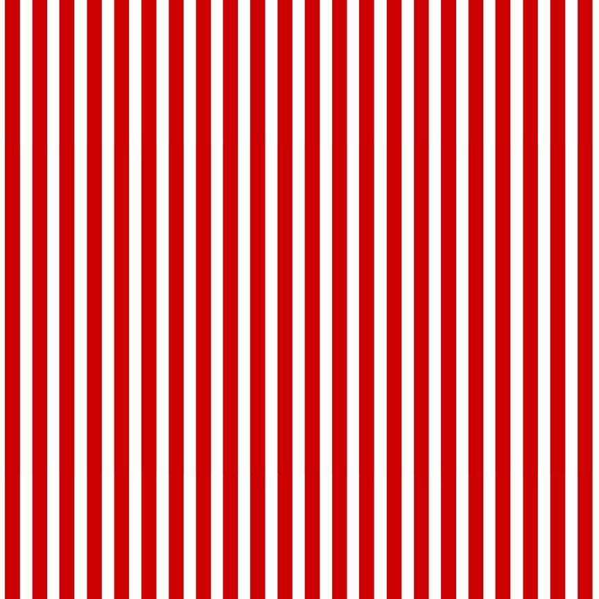 BBQ Season USA Stripes Red Gail Cadden Timeless Treasures Cotton Fabric