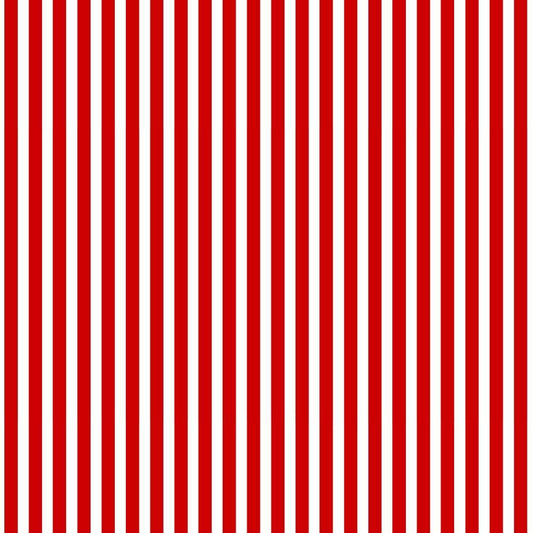 BBQ Season USA Stripes Red Gail Cadden Timeless Treasures Cotton Fabric