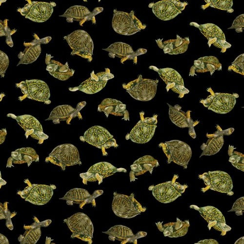 Backyard Wildlife Realistic Box Turtles Black George McCartney Timeless Treasures Cotton Fabric TT-GM-C1175-Black