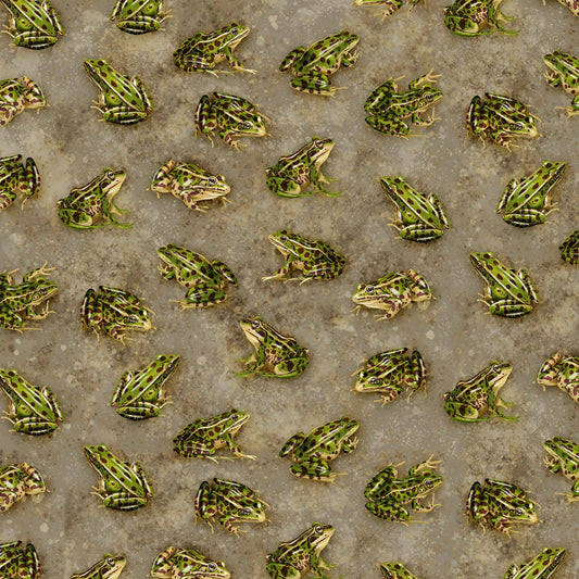 Backyard Wildlife Realistic Frogs Gray George McCartney Timeless Treasures Cotton Fabric TT-GM-C1177-Grey