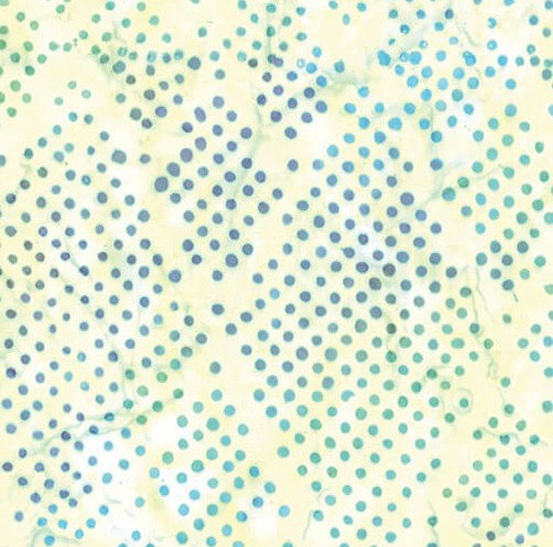 Bali Dot Craze Batik Diamond Dot Yellow Benartex Cotton Fabric BE-9280-30