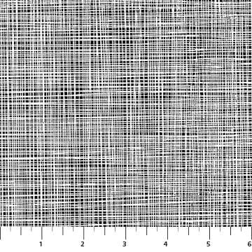 Basically Black and White Lily Linen Negative White on Black Patrick Lose Northcott Cotton Fabric NC-PL-10729-98 | US Fabric Shop