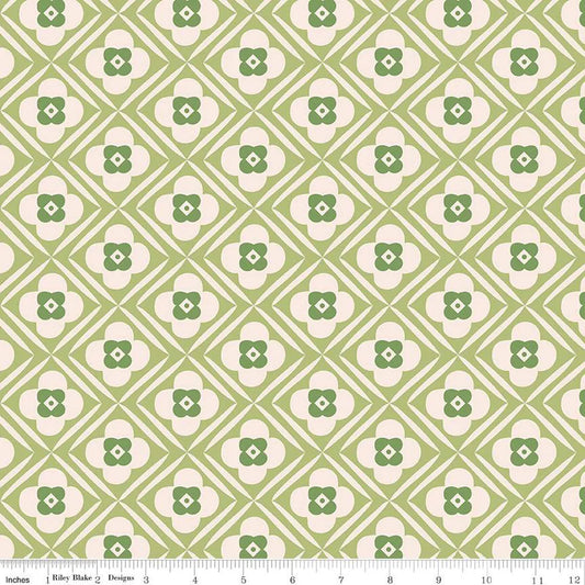 Bee Plaids 108" Wide back Hugs Lettuce Green Lori Holt Riley Blake Cotton Fabric RB-WB15573-LETTUCE