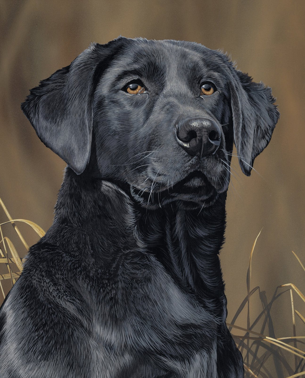 Black Labrador Dog Panel 35.5" David Textiles Cotton Fabric DT-ML-3488-2C-1