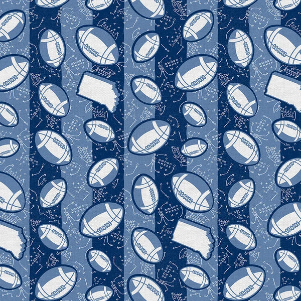 Blue Stampede Indianapolis State Football Stripe Grey Blue Paintbrush Studios Cotton Fabric PBS-120-26610