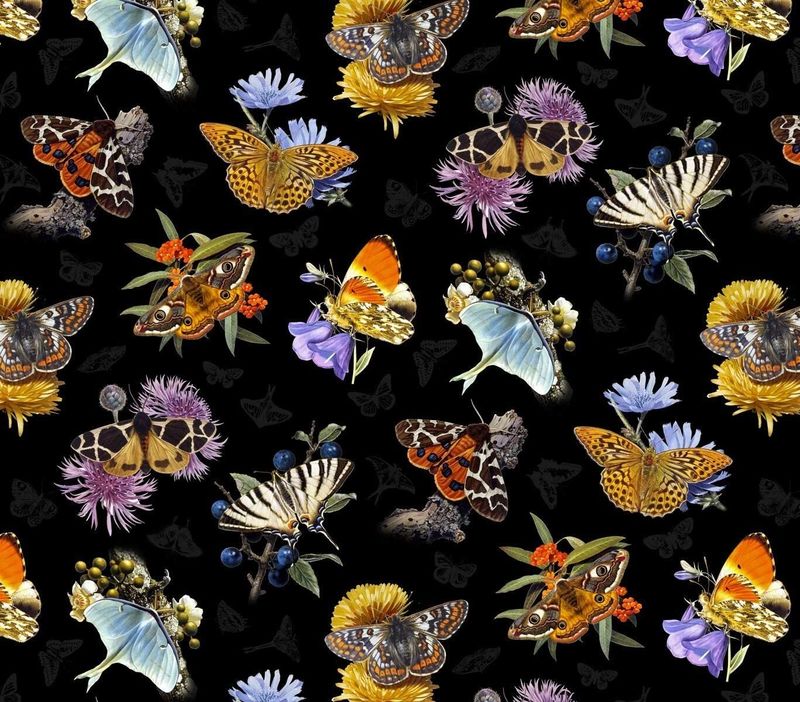 Butterflies and Moths Black Elizabeth's Studio Cotton Fabric