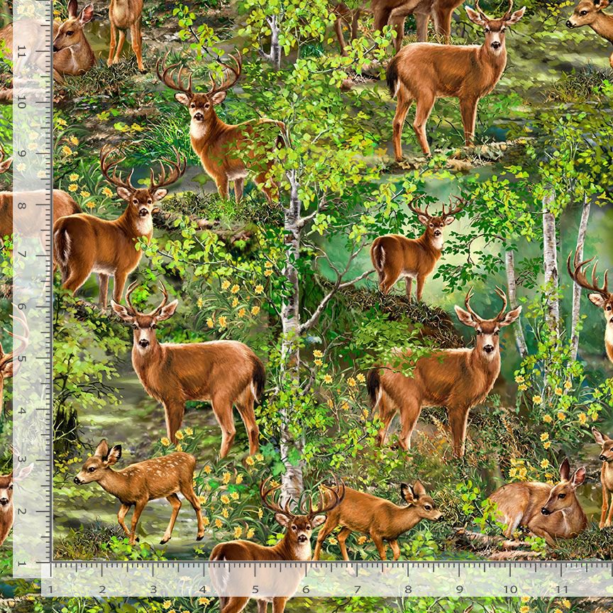 Camp Life Realistic Deers Woods Trees Forest Green Dona Gelsinger Timeless Treasures Cotton Fabric TT-DONA-CD1911-Forest