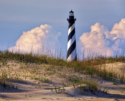 Cape Hatteras Lighthouse Panel 35.5" David Textiles Cotton Fabric DT-GL-0065-3C-1