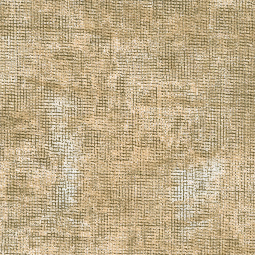 Chalk and Charcoal Mushroom Jennifer Sampou Robert Kaufman Cotton Fabric RK-AJS-17513-352