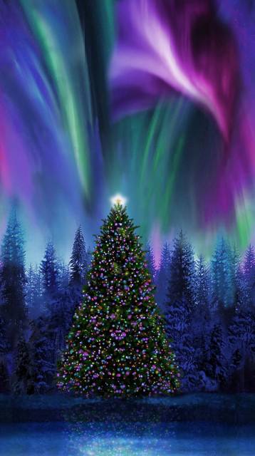Winter Solstice Christmas Tree Aurora Borealis Panel 24” Multi Timeless Treasures Cotton Fabric