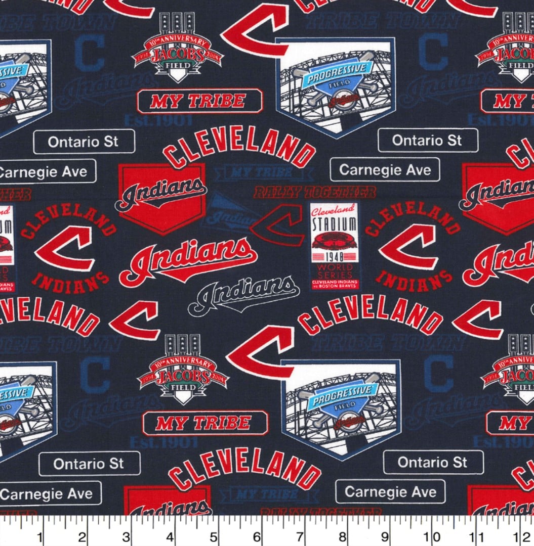 Cleveland MLB Baseball Stadium 44" Fabric Traditions Cotton Fabric MLB-60257B