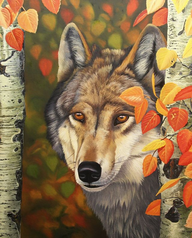 Colors of the Wolf Portrait Panel 36" David Textiles Cotton Fabric DT-AL-3980-9C-1
