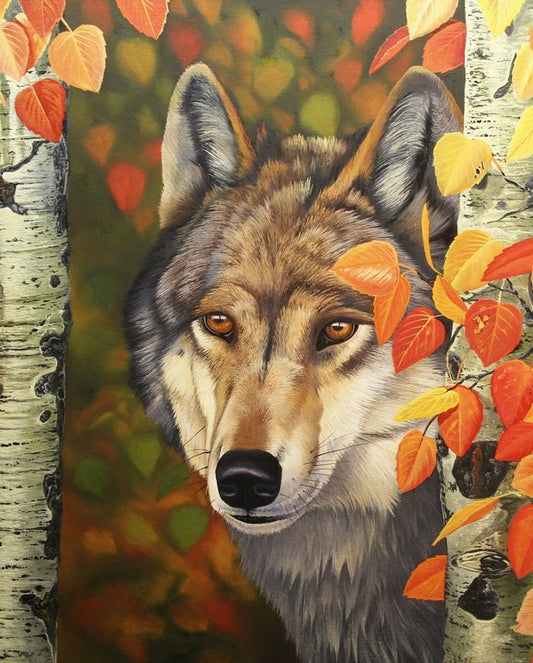 Colors of the Wolf Portrait Panel 36" David Textiles  Cotton Fabric DT-AL-3980-9C-1