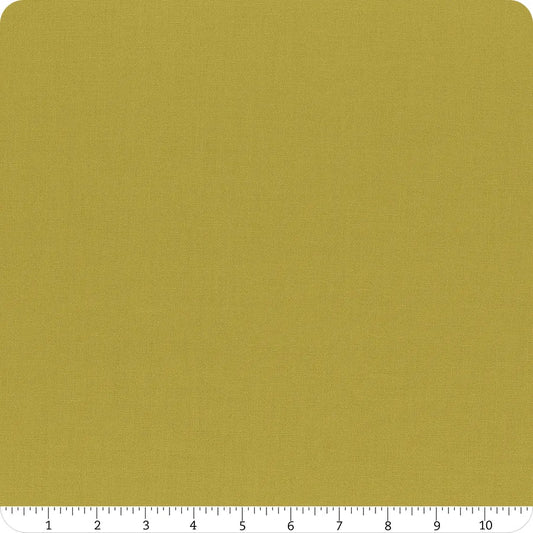 Confetti Cotton Solid Asparagus Riley Blake Designs Cotton Fabric RB-C120-ASPARAGUS