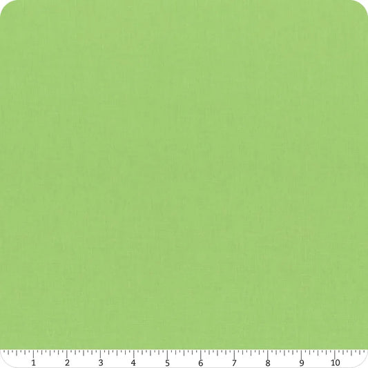 Confetti Cotton Solid Riley Green Riley Blake Designs Cotton Fabric RB-C120-RILEYGREEN