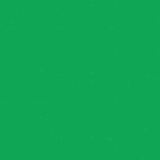 Confetti Cotton Solid Emerald Riley Blake Designs Cotton Fabric RB-C120-EMERALDCITY