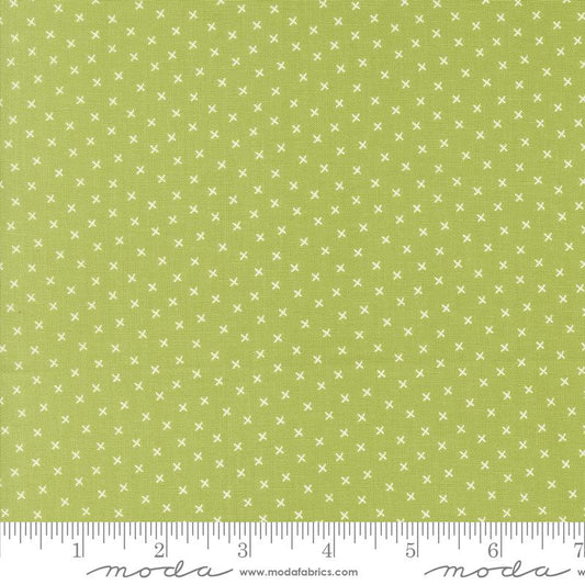 Coriander Colors Xs Light Green Corey Yoder Moda Fabrics Cotton Fabric