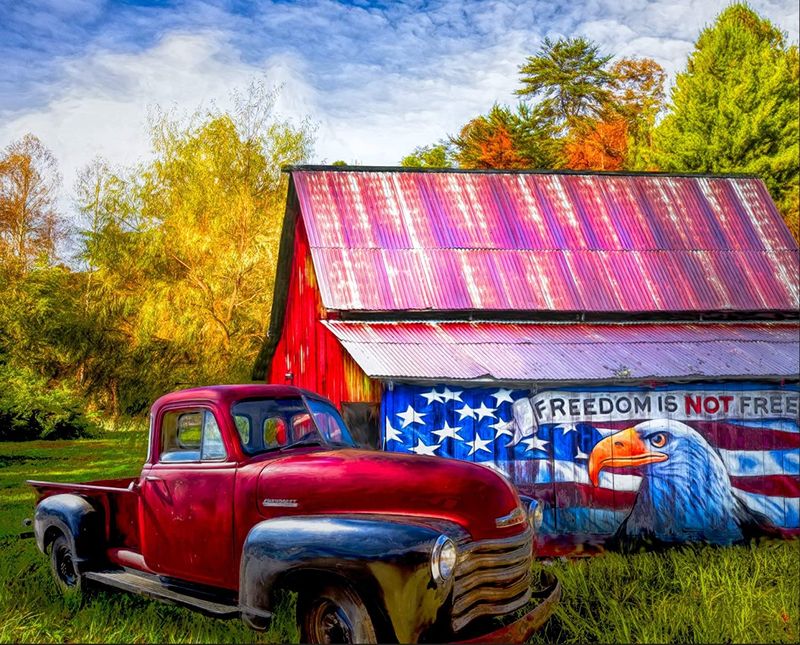Freedom is Not Free Flag Barn Panel 36" David Textiles Cotton Fabric DT-AL-3847-9C-1 Multi