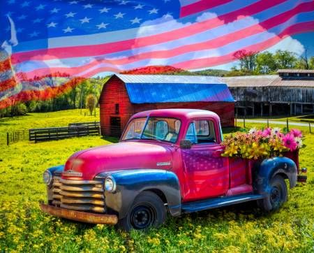 American Country Truck Panel 36" Four Seasons David Textiles Cotton Fabric DT-AL-5930-3C-1