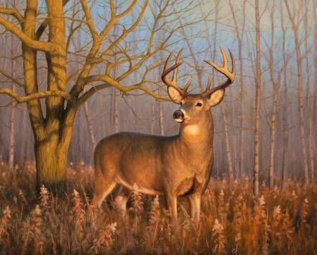 In The Spotlite Deer Panel 36" Four Seasons Collection David Textiles Cotton fabric DT-AS-0044-2C-1