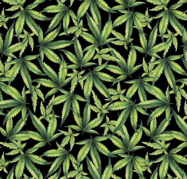 Marijuana Plant Cannabis Black David Textiles Cotton Fabric DT-DX-1323-0C-1 Black Multi