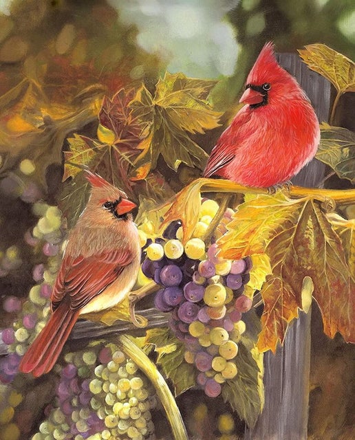 Harvest Time Cardinals Grapes Panel 36" David Textiles Cotton Fabric Digitally Printed DT-ML-3198-0C-1