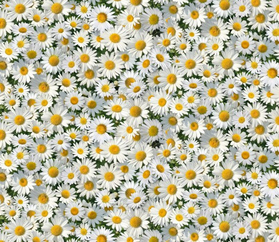 Daisies Packed Landscape Medley Birdbath Gathering Elizabeth's Studio Cotton Fabric ES-656 White