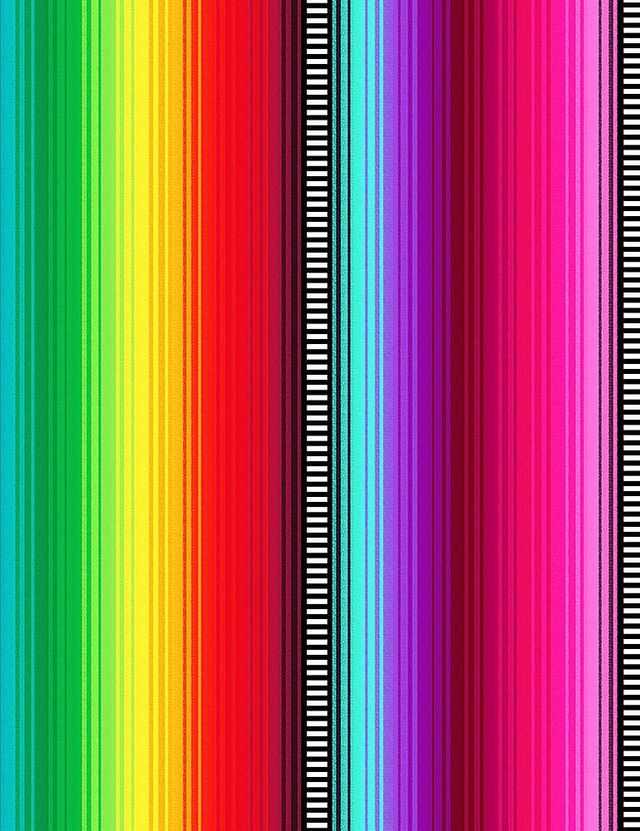 Day of the Dead Esperanza Mexican Blanket Stripe Multi Timeless Treasures Cotton Fabric TT-STRIPE-CD1584-MULTI