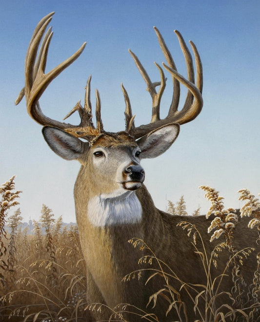 Deer Portrait Panel 36" Multi David Textiles Cotton Fabric DT-JQ-0109-1C-1