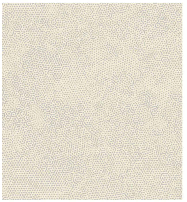 Dimples Tonal Blender Cashmere Grey Beige Gail Kessler Andover Fabrics Cotton Fabric AF-A-1867-C11