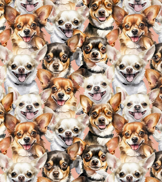 Doggies! Chihuahuas Packed Peach David Textiles Cotton Fabric DT-DX-4811-3C-1
