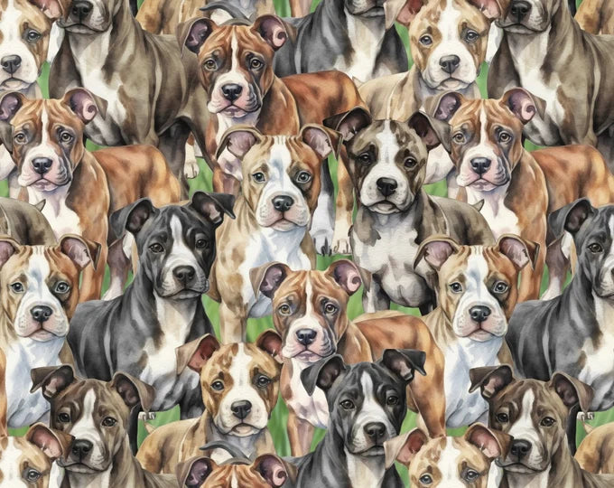 Doggies! Pitbulls Packed Multi David Textiles Cotton Fabric DT-DX-4802-3C-1