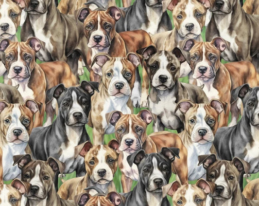 Doggies! Pitbulls Packed Multi David Textiles Cotton Fabric DT-DX-4802-3C-1