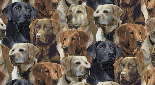 Doggies! Retrievers Packed Multi David Textiles Cotton Fabric DT-ML-3492-2C-1