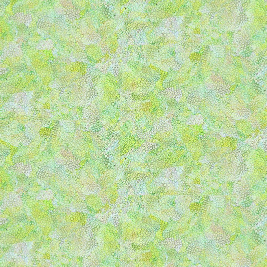 Dragonfly Illusion Bubble Texture Green Timeless Treasures Cotton Fabric TT-Dot-CD3212-Green