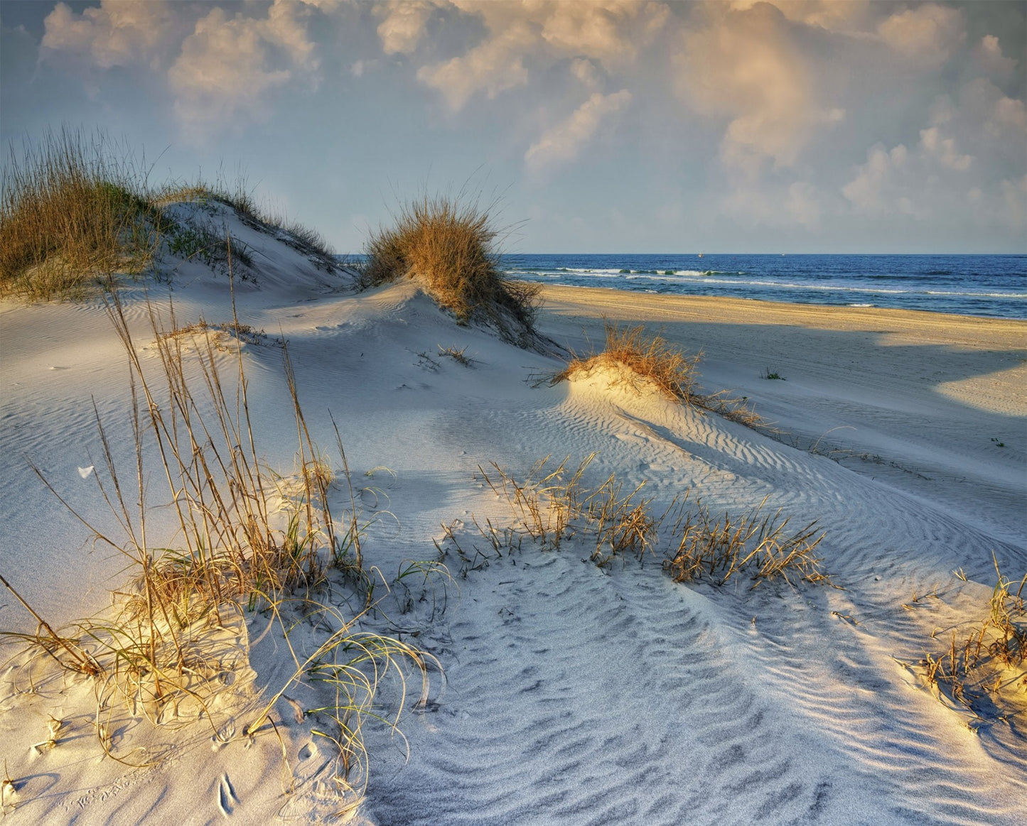 Dunes of OBX Beach Sand Panel 35.5" Multi David Textiles Cotton Fabric DT-GL-0061-3C-1