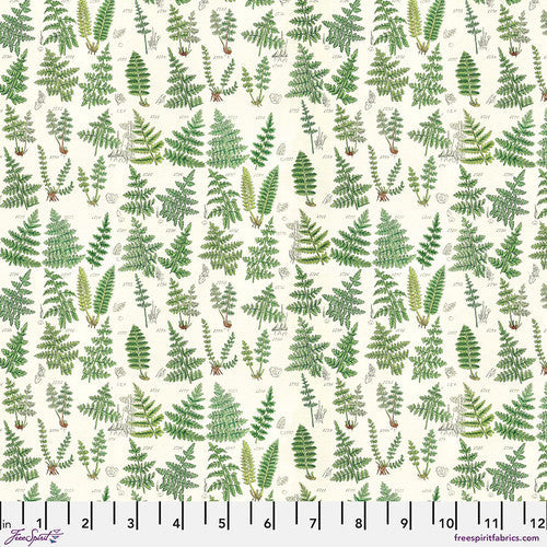 Eclectic Elements Green Palette Ferns Green Tim Holtz Free Spirit Cotton Fabric FS-PWTH265.GREEN