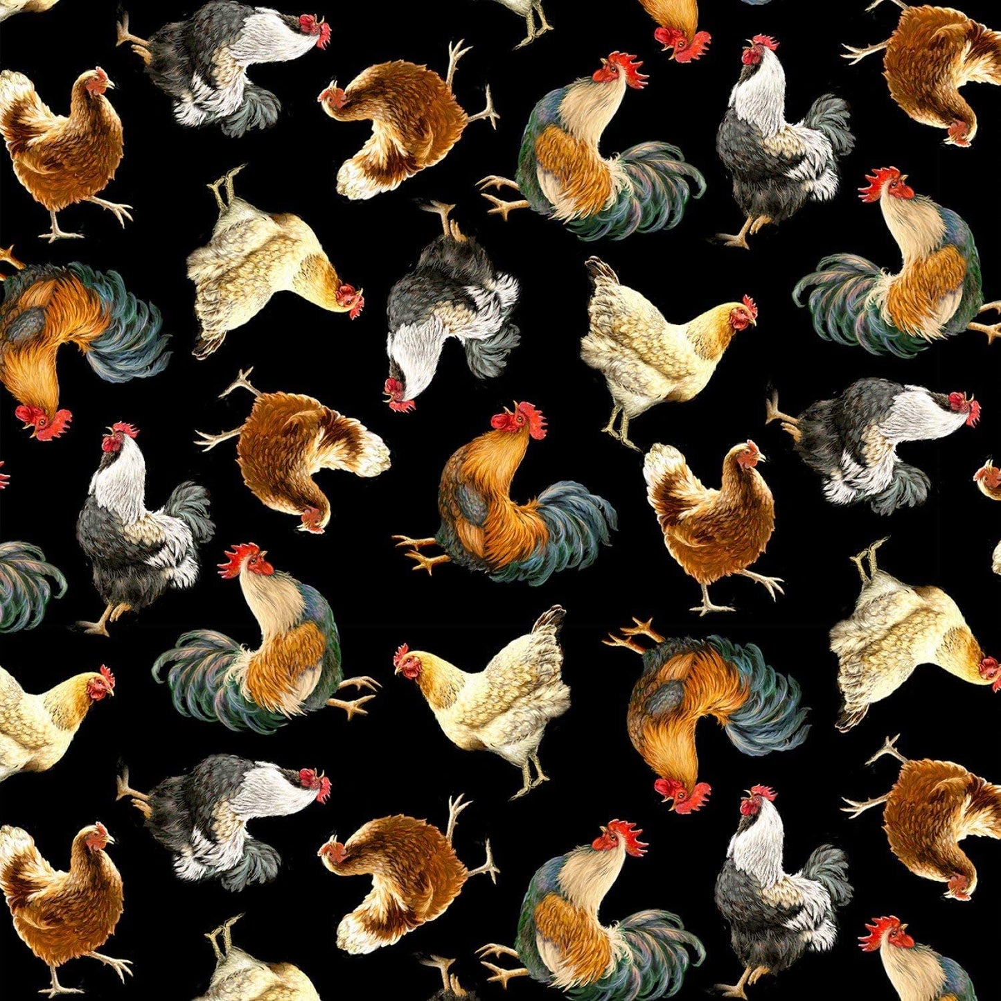 Farm Life Dona Gelsinger Chickens Tossed Black Timeless Treasures Cotton Fabric TT-DG-C8339 Black