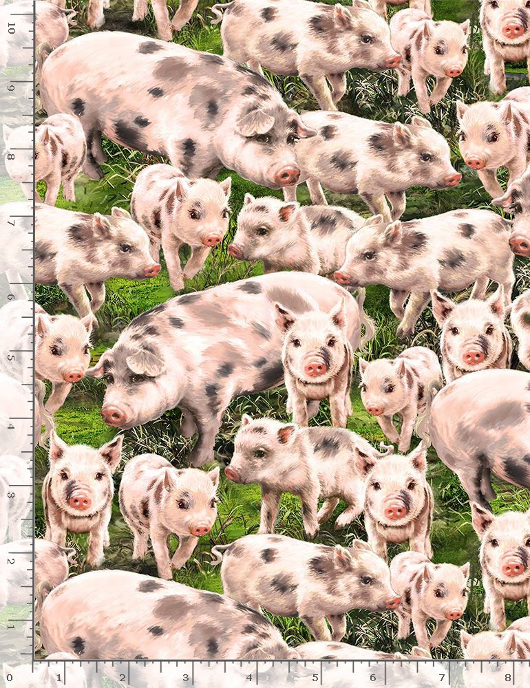 Farm Life Dona Gelsinger Pigs Packed Timeless Treasures Cotton Fabric TT-DG-C8338 Multi